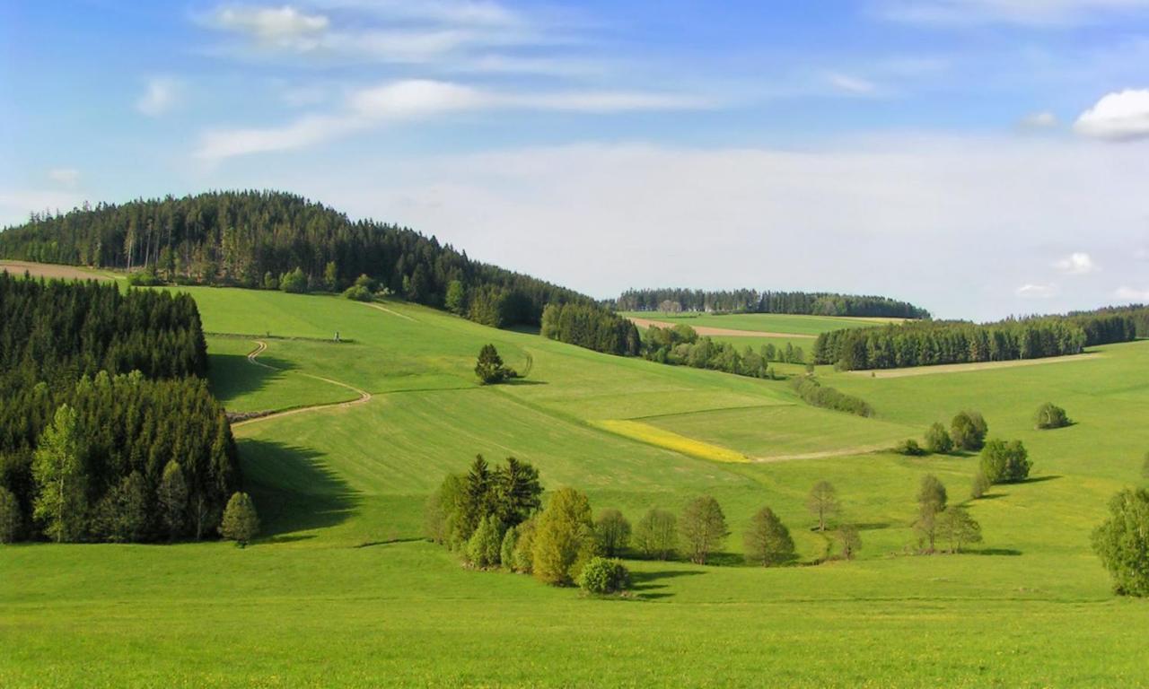 Hotel Brunnwald Bad Leonfelden Exteriör bild